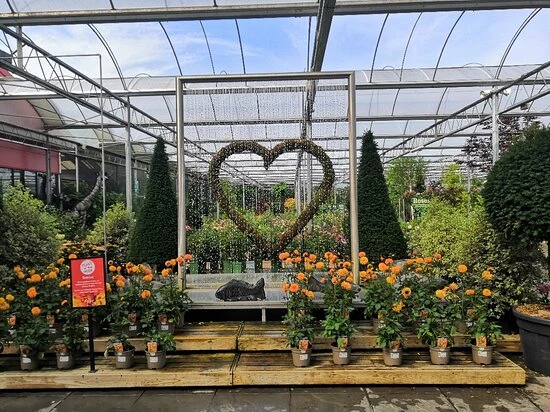 Front Page -Watersi Degarden Centre Sales 6575