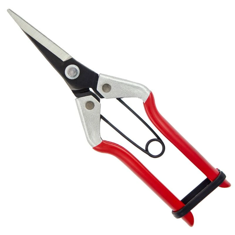 Darlac Vine Scissors 3 Darlac Vine Scissors
