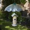 Tom Chambers - Squirrel Baffle -Watersi Degarden Centre Sales squirrel baffle web