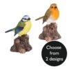 Vivid Arts Garden Friends - Singing Bird Garden Ornament 1 Vivid Arts Garden Friends - Singing Bird Garden Ornament -Watersi Degarden Centre Sales vivid arts garden friends singing birds mix web