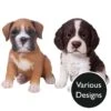 Vivid Arts Pet Pals - Puppy Garden Ornament (Medium Breeds) 2 Vivid Arts Pet Pals - Puppy Garden Ornament (Medium Breeds) -Watersi Degarden Centre Sales vivid arts puppy pet pals medium breeds mix web