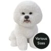 Vivid Arts Real Life Dogs - Bichon Frise Garden Ornament -Watersi Degarden Centre Sales vivid arts real life bichon frise mix web 1