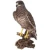 Vivid Arts Real Life Birds - Common Buzzard Garden Ornament -Watersi Degarden Centre Sales vivid arts real life common buzzard web