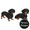 Vivid Arts Real Life Dogs - Dachshund Garden Ornament 1 Vivid Arts Real Life Dogs - Dachshund Garden Ornament -Watersi Degarden Centre Sales vivid arts real life dachshund mix web