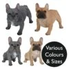 Vivid Arts Real Life Dogs - French Bulldog Garden Ornament 1 Vivid Arts Real Life Dogs - French Bulldog Garden Ornament -Watersi Degarden Centre Sales vivid arts real life french bulldog mix web