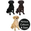 Vivid Arts Real Life Dogs - Labrador Garden Ornament -Watersi Degarden Centre Sales vivid arts real life labrador mix web
