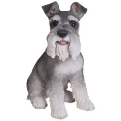 Vivid Arts Real Life Dogs - Miniature Schnauzer Garden Ornament 7 Vivid Arts Real Life Dogs - Miniature Schnauzer Garden Ornament -Watersi Degarden Centre Sales vivid arts real life miniature schnauzer medium web
