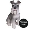 Vivid Arts Real Life Dogs - Miniature Schnauzer Garden Ornament -Watersi Degarden Centre Sales vivid arts real life miniature schnauzer mix web