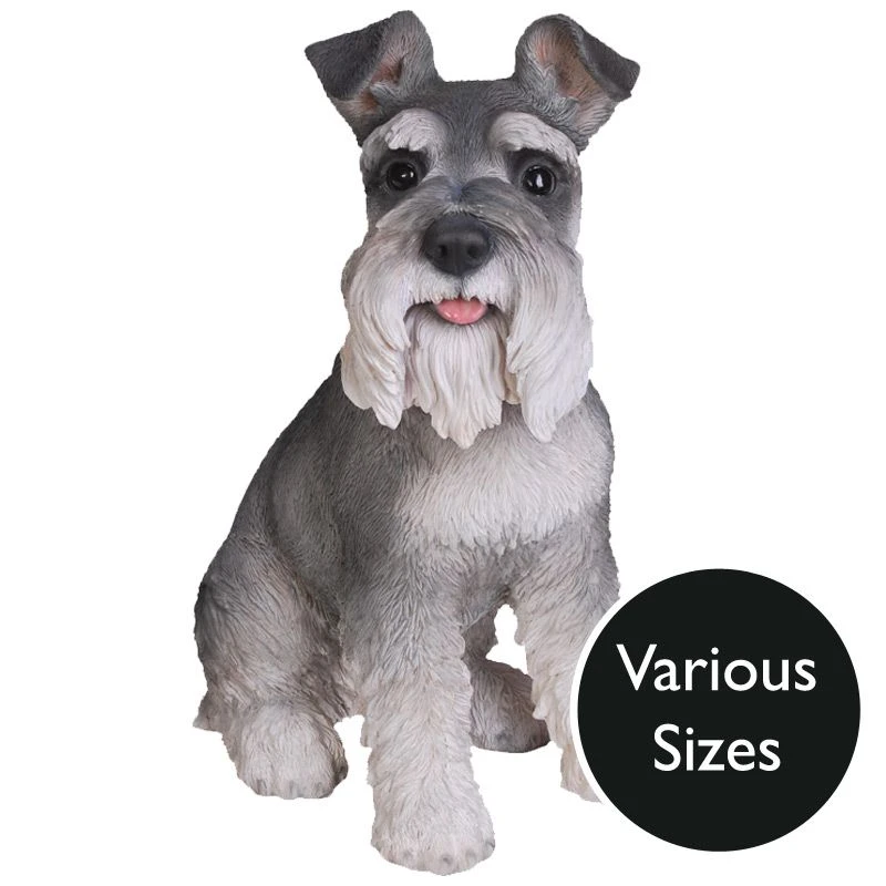 Vivid Arts Real Life Dogs - Miniature Schnauzer Garden Ornament 3 Vivid Arts Real Life Dogs - Miniature Schnauzer Garden Ornament
