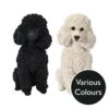 Vivid Arts Real Life Dogs - Poodle Garden Ornament -Watersi Degarden Centre Sales vivid arts real life poodle mix web