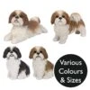 Vivid Arts Real Life Dogs - Shih Tzu Garden Ornament -Watersi Degarden Centre Sales vivid arts real life shih tzu mix web 1