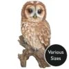 Vivid Arts Real Life Owls - Tawny Owl Garden Ornament -Watersi Degarden Centre Sales vivid arts real life tawny owl mix web