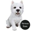 Vivid Arts Real Life Dogs - West Highland Terrier Garden Ornament -Watersi Degarden Centre Sales vivid arts real life west highland terrier mix web