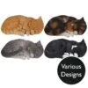 Vivid Arts Real Life Cats - Sleeping Cat Garden Ornament -Watersi Degarden Centre Sales vivid arts sleeping cats mix web